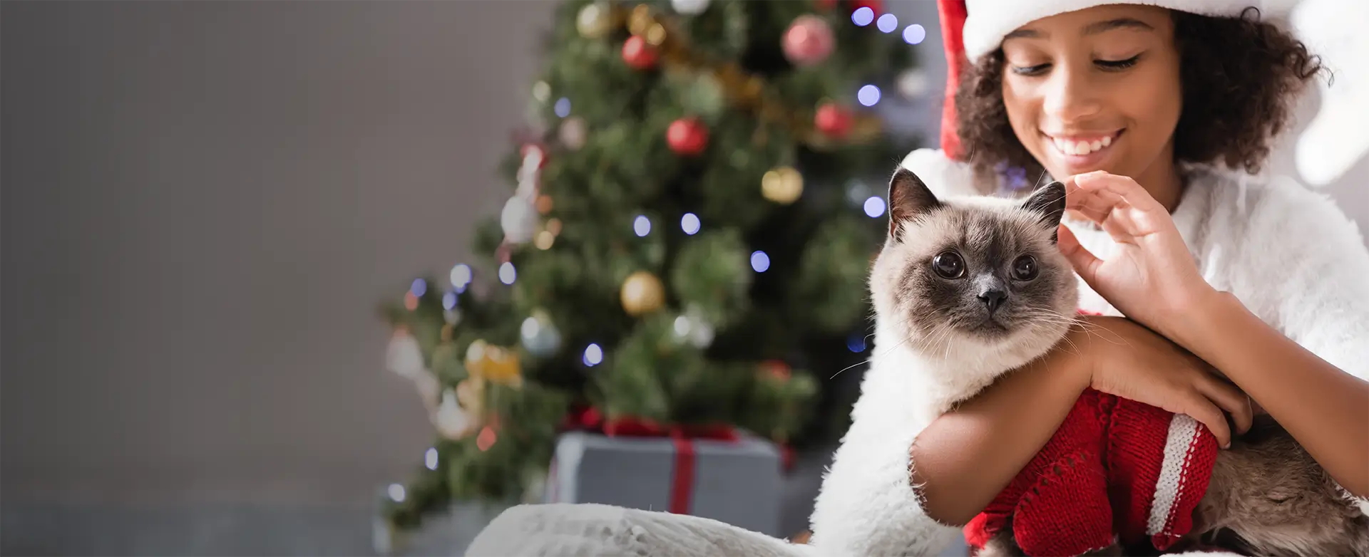 J019634 CG Christmas 23 Website Hero 1920x782 Pets, Clifford Gardens